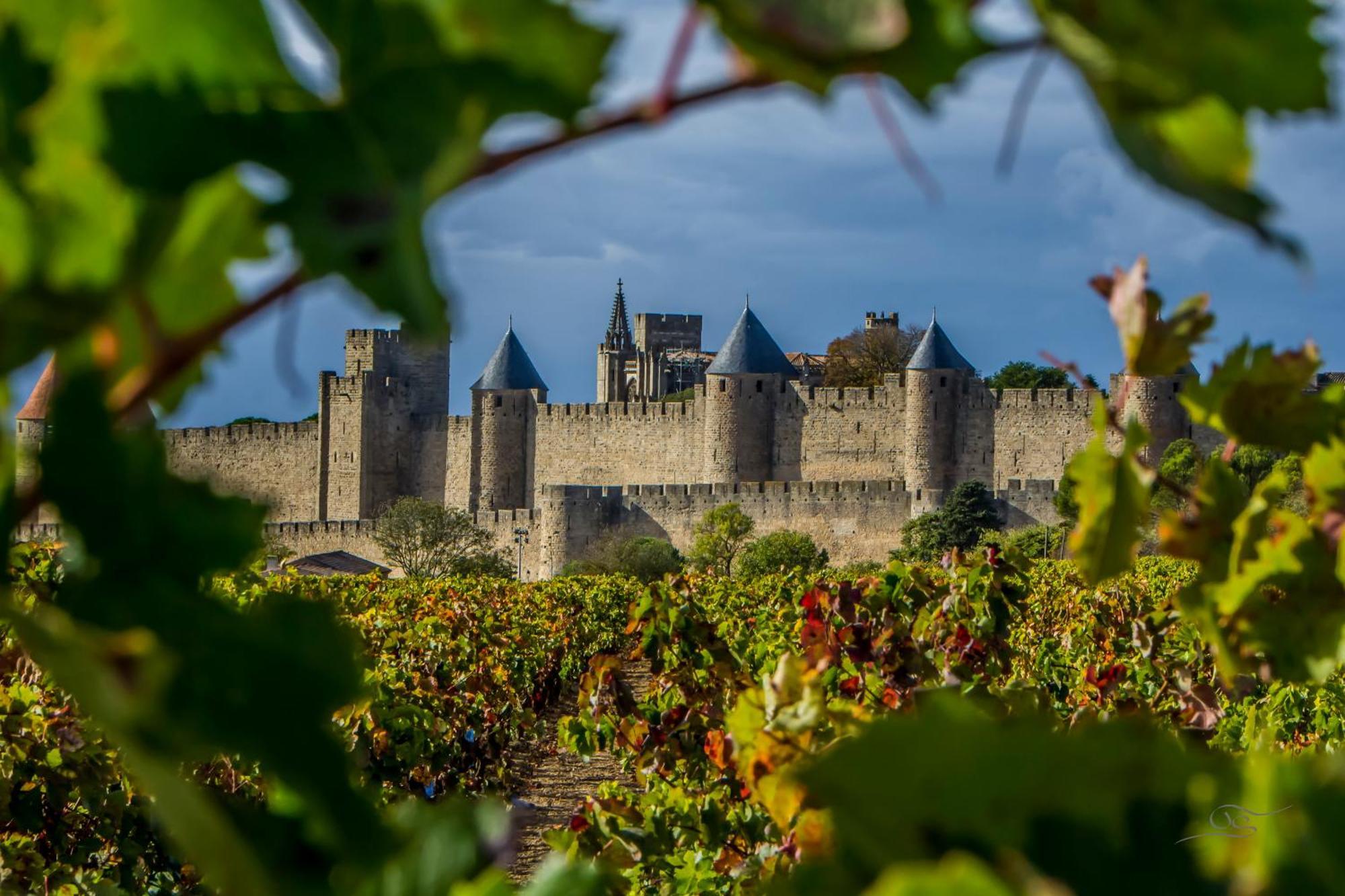 Maison Cantalauze - Pays Cathare - Carcassonne - Canal Du Midi Trebes Exterior photo